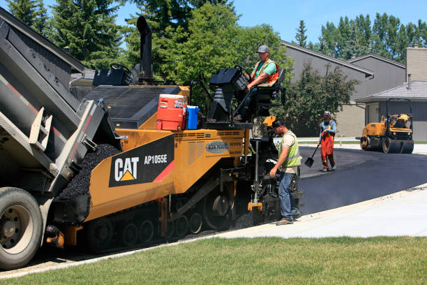Best Local Driveway Pavers  in Fayetteville, AR